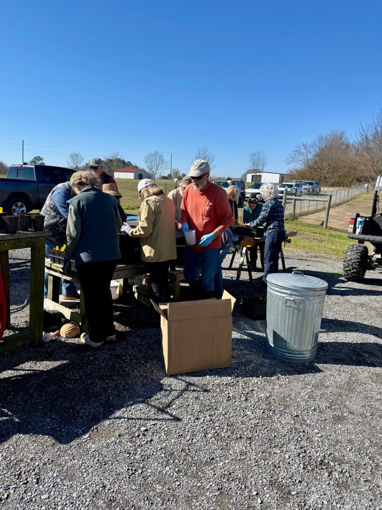 Some of our Master Gardeners working on repotting seedlings for our Spring Plant Sale.