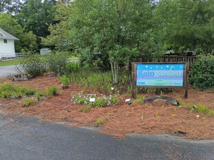 The blue rain garden sign near a road and surrounded by different plants in a bed of pine straw.