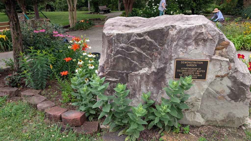 Our Demonstration Garden large rock, fitted with a plaque telling of its founding in 2009 is surrounded by orange daylilies to the right, autumn joy sedum in the front, white coneflowers next to those, orange asiatic lilies next to those (some blooming and some just dark green foliage) with tall purple coneflowers behind them.