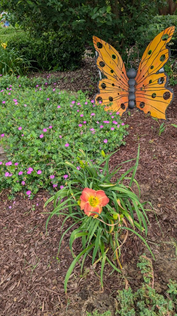 A large metal orange butterfly rests in the top right corner near a bed of purple gladiolas with bright green foliage and a single blooming daylily in the foreground. The daylily is a red-orange frilly variety with with yellow streaks down the petals. There is mulch around everything.