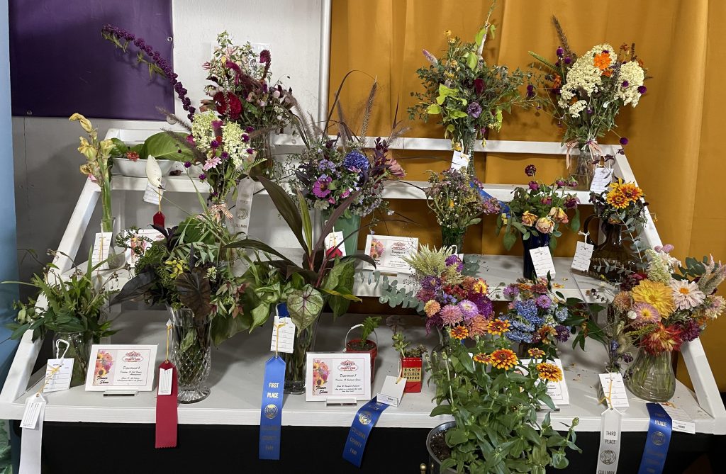 A riser stand with many floral arrangements in vases on it.  Some have blue, red, or white ribbons on them.