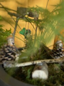 An asparagus fern with an added swing set made of sticks and natural materials and tiny figures enjoying the swing.